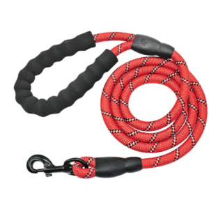 Dog Leash